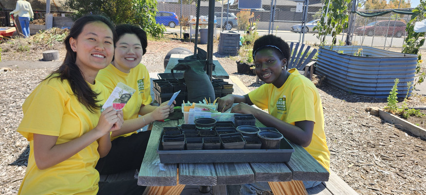 Community Engagement