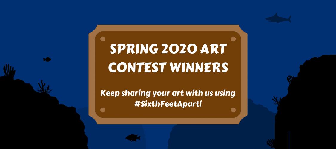 2 of 9, Sixth College Art Contest Winners. Share Your Art with #SixthFeetApart